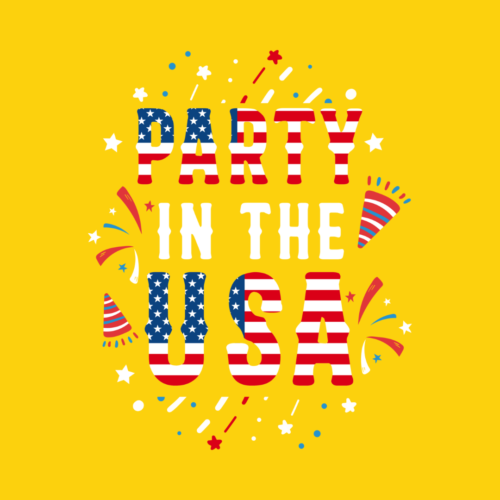 Party In The USA – 4th Of July – DTF Transfer